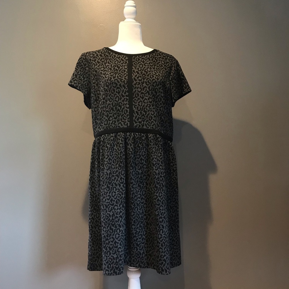 Loft Leopard Print Dress